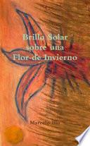 Brillo Solar sobre una Flor de Invierno