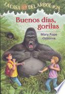 Buenos Días, Gorilas