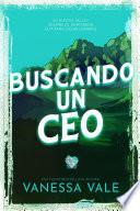 Buscando un CEO