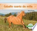Caballo Cuarto de Milla (Quarter Horses) (Spanish Version)