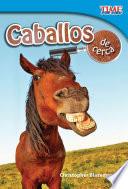 Caballos de cerca