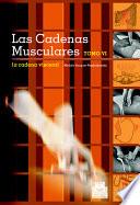 CADENAS MUSCULARES, LAS (Tomo VI). La cadena visceral (Bicolor)
