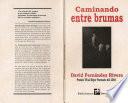 Caminando entre brumas