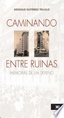Caminando entre ruinas