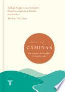 Caminar; Las Ventajas de Descubrir El Mundo a Pie / Walking: One Step at a Time