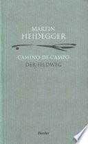 Camino de campo
