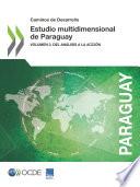 Caminos de Desarrollo Estudio multidimensional de Paraguay Volumen 3. Del Análisis a la Acción