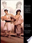Caminos de luz y sombra