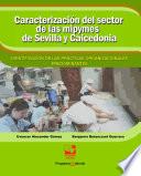 Caracterización del sector de las mipymes de Sevilla y Caicedonia: