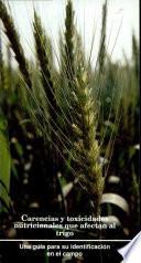 Carencias y toxicidades nutricionales que afectan al trigo: Una guia para su identificacion en el campo