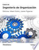 Casos de ingeniería de organización