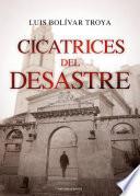 Cicatrices del desastre