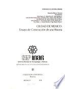 Ciudad de México, ensayo de construcción de una historia