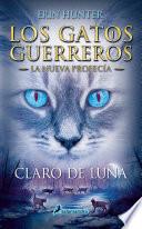 Claro de luna / Moonrise