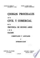 Códigos procesales en lo civil y comercial de la Provincia de Buenos Aires y de la Nación: Introducción