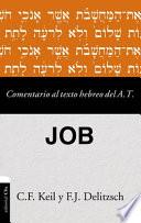 Comentario Al Texto Hebreo del Antiguo Testamento - Job