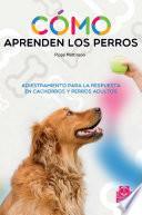 Cómo aprenden los perros