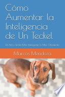 Cómo Aumentar la Inteligencia de Un Teckel