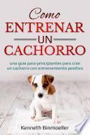 Como entrenar un cachorro