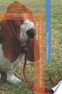 Cómo Lidiar Con Un Perro Basset Hound Hiperactivo