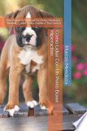 Cómo Lidiar Con Un Perro Boxer Hiperactivo