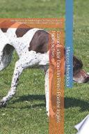 Cómo Lidiar Con Un Perro Pointer Inglés Hiperactivo