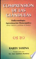 Comprension de las glandulas/ Understanding the glands
