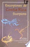 Costa Rica scorpions
