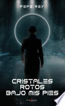 Cristales rotos bajo mis pies