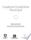 Cuaderno estadístico municipal: Delicias