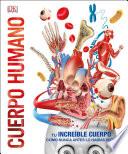 Cuerpo Humano