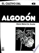 Cultivo Del Algodón. Cultivos Mayores 6