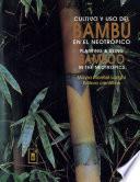Cultivo y uso del bambú en el neotrópico