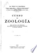 Curso de zoologica