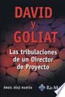 David y Goliat. Las tribulaciones de un director de proyecto.