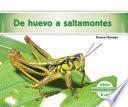 De huevo a saltamontes (Becoming a Grasshopper ) (Spanish Version)
