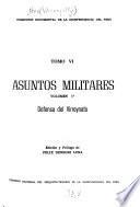 Defensa del Virreynato