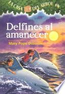 Delfines al amanecer