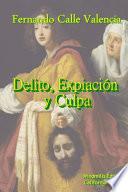 Delito ExpiaciÃ3n y Culpa