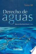 Derecho de Aguas Tomo VII