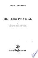 Derecho procesal: Conceptos fundamentales