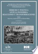 Derecho y política ante la pandemia: reacciones y transformaciones. Tomo I: reacciones y transformaciones en el Derecho Público (AFDUAM) extraordinario, 2021]