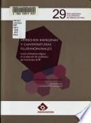 Derechos indígenas y candidaturas plurinominales