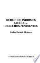Derechos indios en México-- derechos pendientes