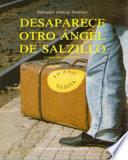 Desaparece otro ángel de Salzillo