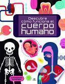 Descubre Cómo Funciona El Cuerpo Humano