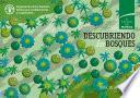 DESCUBRIENDO los BOSQUES