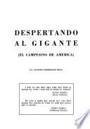 Despertando al gigante