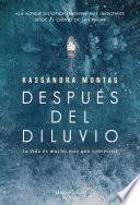 Después del diluvio