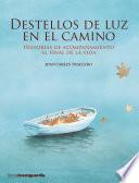 Destellos de luz en el camino